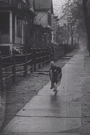 The Detective's Dog's poster
