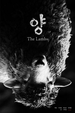 The Lambs's poster