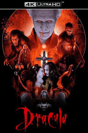 Dracula's poster