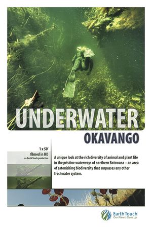 Underwater Okavango's poster