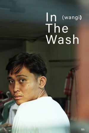In The Wash's poster