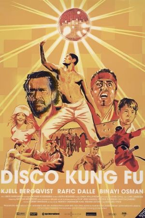 Disco Kung Fu's poster