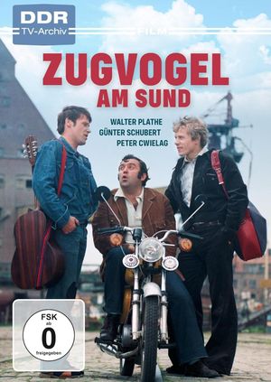 Zugvogel am Sund's poster