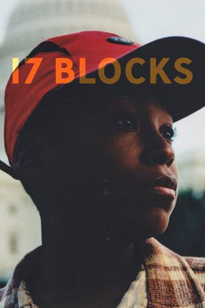 17 Blocks's poster