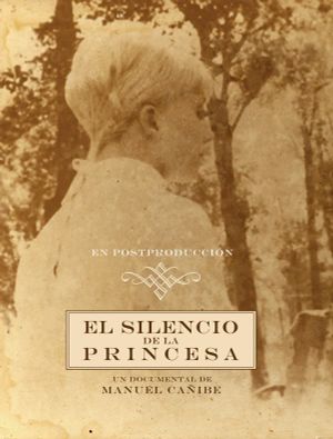 El silencio de la princesa's poster