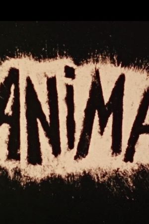 Anima's poster