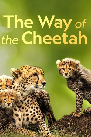 The Way of the Cheetah's poster