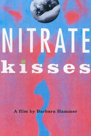 Nitrate Kisses's poster