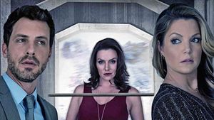 The Wrong House's poster