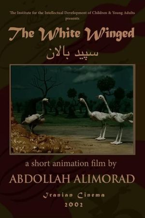 The White Winged's poster
