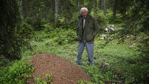 Attenborough and the Empire of the Ants's poster
