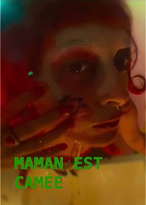 Maman est camée's poster