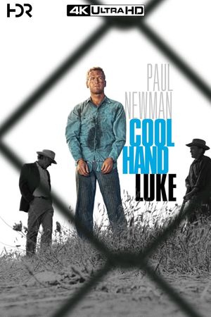 Cool Hand Luke's poster