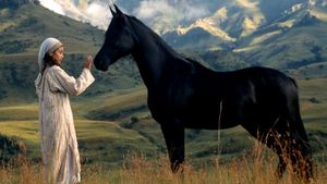 The Young Black Stallion's poster