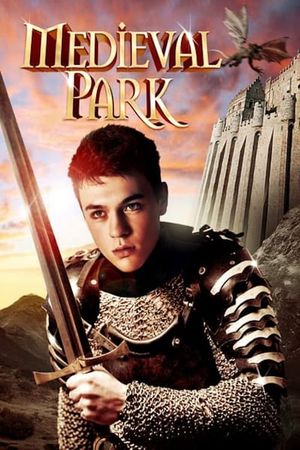 Teen Knight's poster