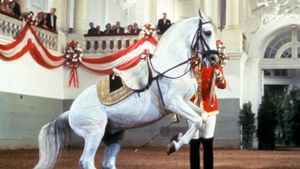 Miracle of the White Stallions's poster