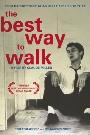 The Best Way to Walk's poster