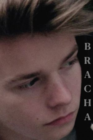 Brother's poster
