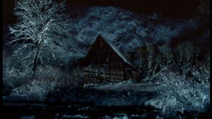 The Tree's poster