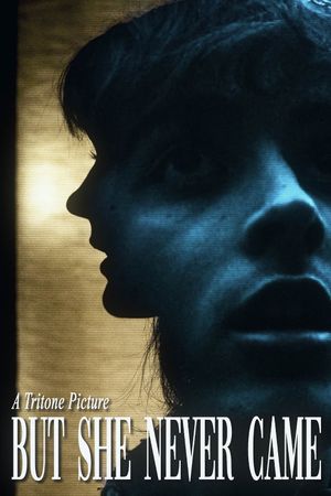 But She Never Came's poster
