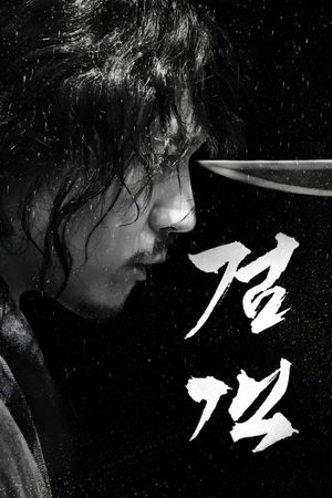 The Swordsman's poster