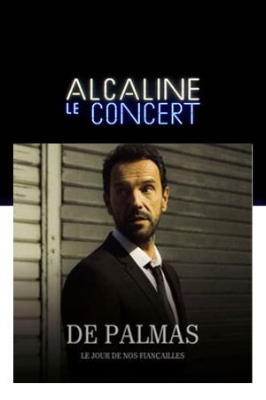 Gérald de Palmas - Alcaline le Concert's poster