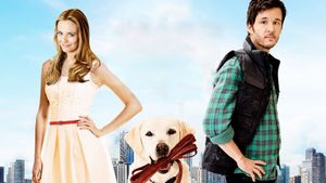 Who Gets the Dog?'s poster