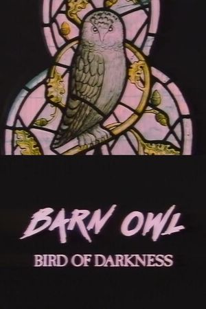 Barn Owl: Bird of Darkness's poster