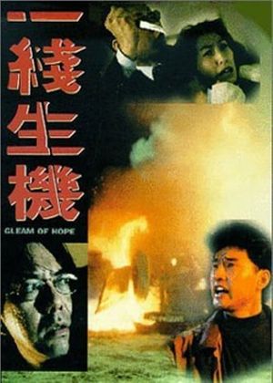 A Gleam of Hope's poster