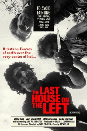 The Last House on the Left's poster