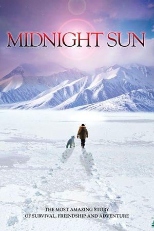The Journey Home's poster