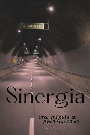 Sinergia's poster