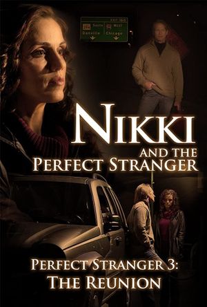 Nikki and the Perfect Stranger's poster