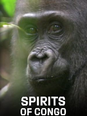 Spirits of Congo's poster