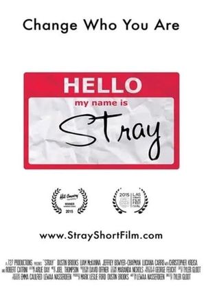 Stray's poster