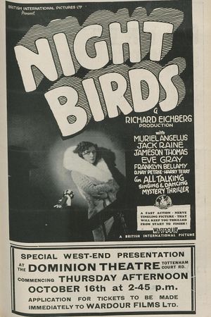 Night Birds's poster