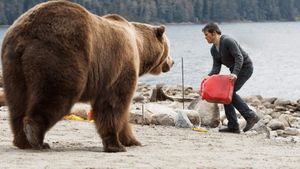 Into the Grizzly Maze's poster