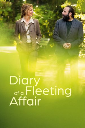 Diary of a Fleeting Affair's poster