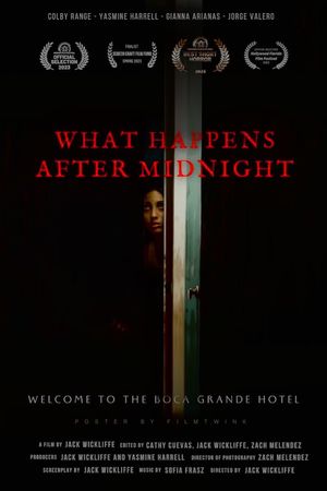 What Happens After Midnight's poster