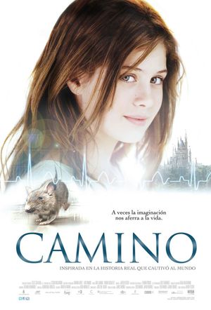 Camino's poster