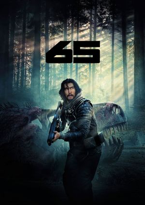 65's poster