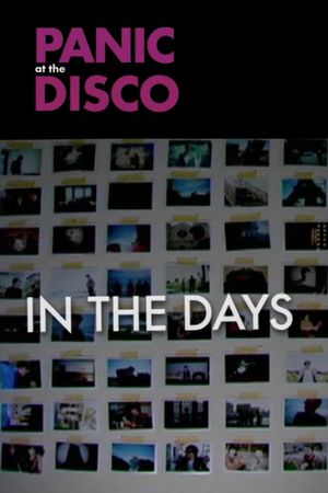 Panic! at the Disco: In the Days's poster