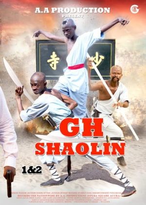 GH Shaolin's poster