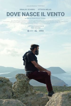 Dove nasce il vento's poster