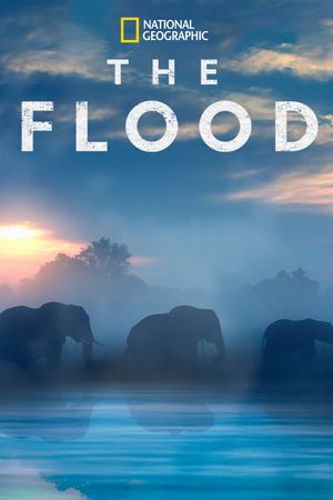 The Flood's poster