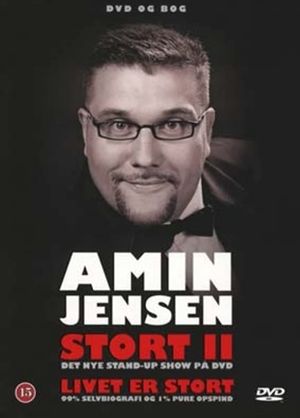 Amin Jensen: Stort II's poster