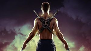 Ninja Immovable Heart's poster