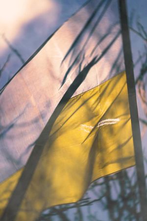 Despair and Defiance: The Battle for Ukraine's poster