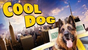 Cool Dog's poster