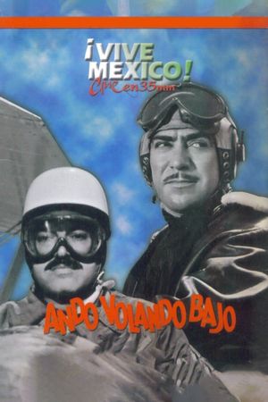 Ando volando bajo's poster